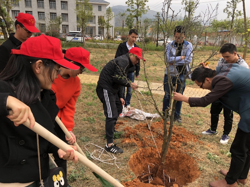 2019.3.14 东南绕员工开展植树节活动 (2).JPG