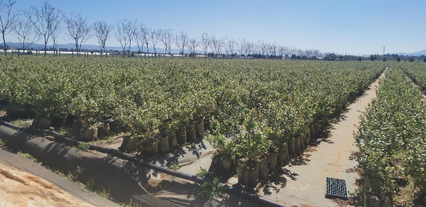 企业微信截图_17127382158815