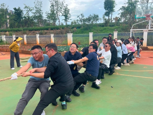 微信图片_20240618213736